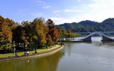 照片：「妃媽」BLOG