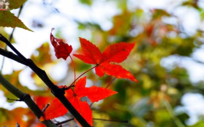照片：「一哥的玩遍全台灣」BLOG