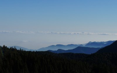 照片：「妮可」BLOG