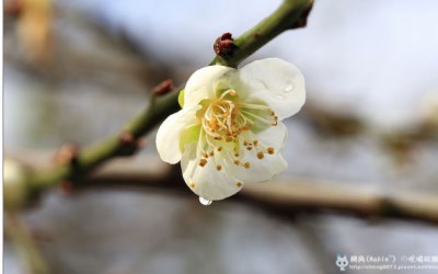 照片：「轉角」BLOG
