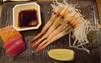 照片：「加小菲」BLOG