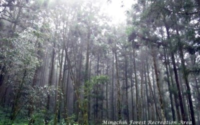 照片：「hhsshh」BLOG