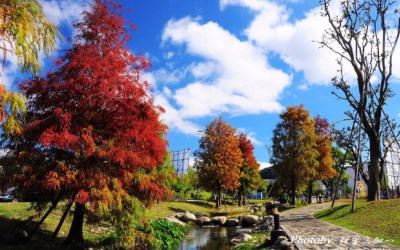 照片：「喵喵」BLOG