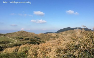 照片：「莎莉哈小姐」BLOG