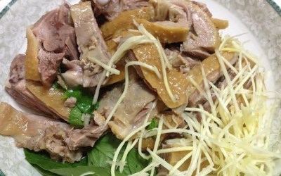 照片：「莎莉哈小姐」BLOG