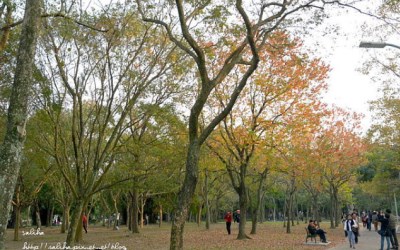 照片：「莎莉哈小姐」BLOG