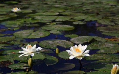 照片：「轉角」BLOG