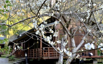 照片：「瑪格」BLOG