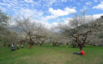 照片：「sya」BLOG