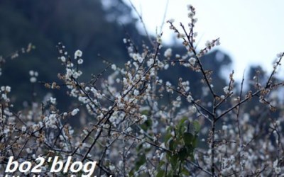 照片：「豬小詠」BLOG