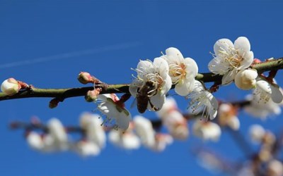 照片：「阿珠珠」BLOG
