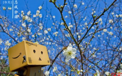 照片：「小風」BLOG