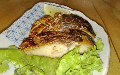 照片：「哈比小叮噹」BLOG