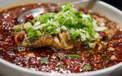 照片：「YoYo拔」BLOG