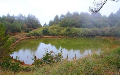 照片：「阿珠珠」BLOG