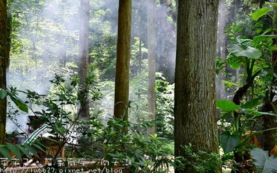 照片：「菜市子」BLOG