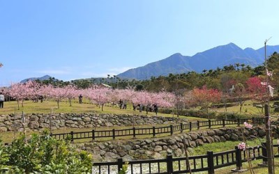 照片：「野蠻王妃」BLOG