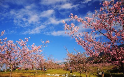 照片：「喵喵」BLOG