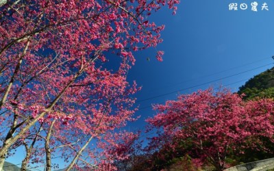 照片：「假日農夫」BLOG