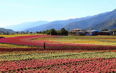 照片：「轉角」BLOG