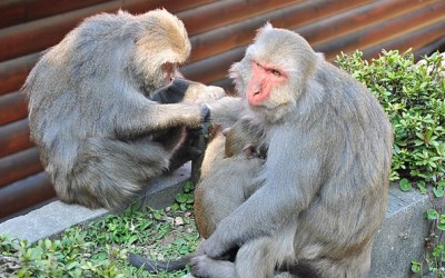 照片：「玟玟」BLOG