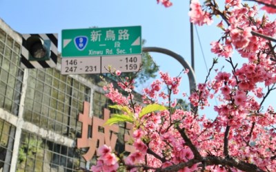 照片：「小兔」BLOG