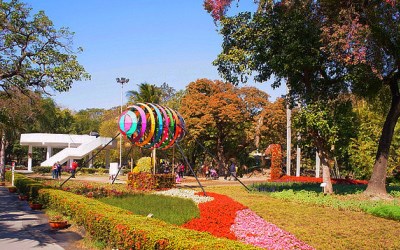 照片：「瘋熊」BLOG