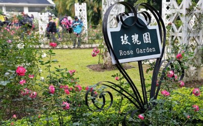 照片：「小茉」BLOG