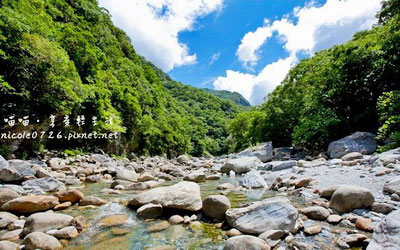 照片：「喵喵」BLOG