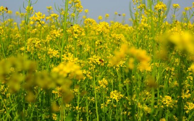 照片：「Leo」BLOG