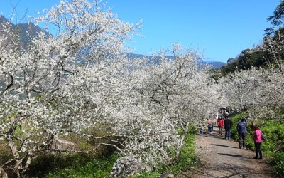 照片：「Leo」BLOG