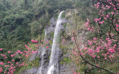 照片：「莎莉哈小姐」BLOG