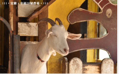 照片：「小美人」BLOG