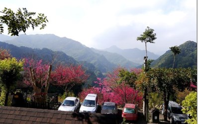 照片：「加小菲」BLOG
