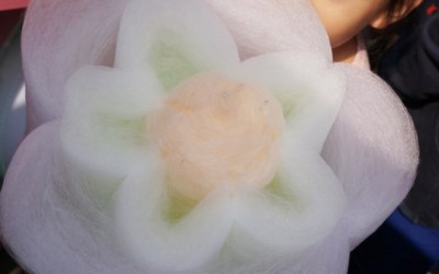 照片：「mikageyoru」BLOG