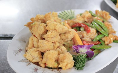 照片：「熊本一家」BLOG