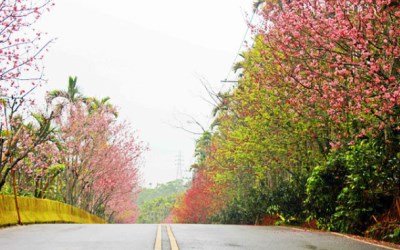 照片：「小潔」BLOG
