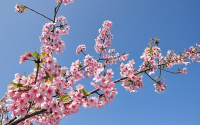 照片：「玟玟」BLOG
