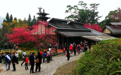 照片：「妮可」BLOG