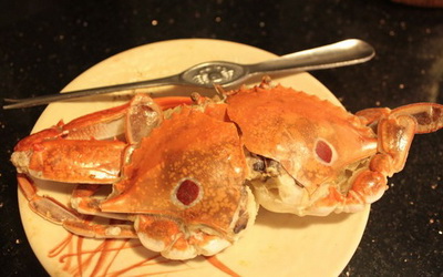 照片：「小獅子-若若」BLOG
