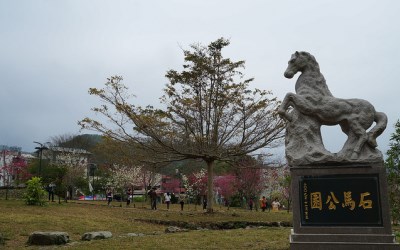 照片：「妮可」BLOG