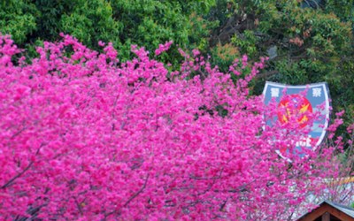 照片：「一哥的玩遍全台灣」BLOG