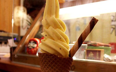 照片：「披著虎皮的貓」BLOG