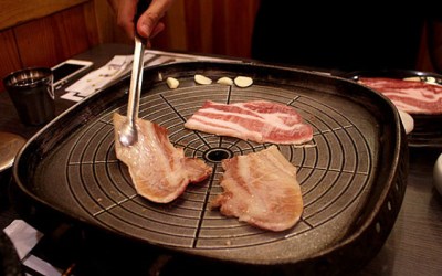 照片：「披著虎皮的貓」BLOG