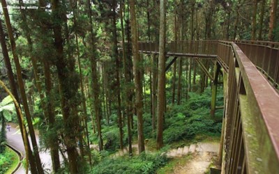 照片：「小環」BLOG