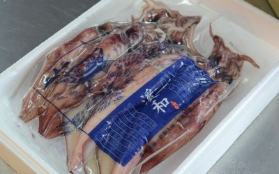 照片：「Anise」BLOG