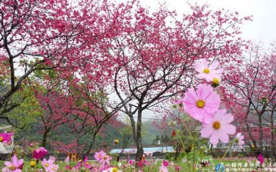 照片：「范小貓」BLOG