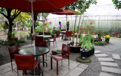照片：「bluehawaii」BLOG