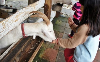 照片：「小茉」BLOG