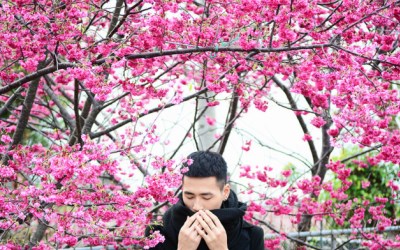 照片：「許傑」BLOG